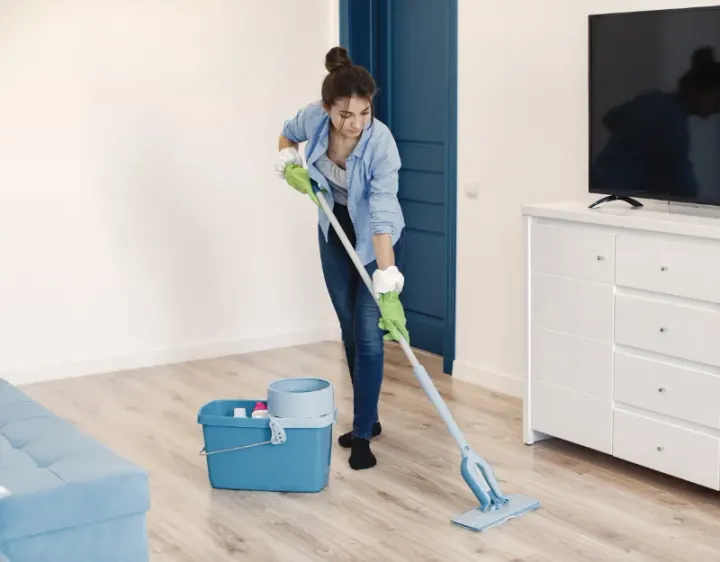 Femme de ménage Cléguer